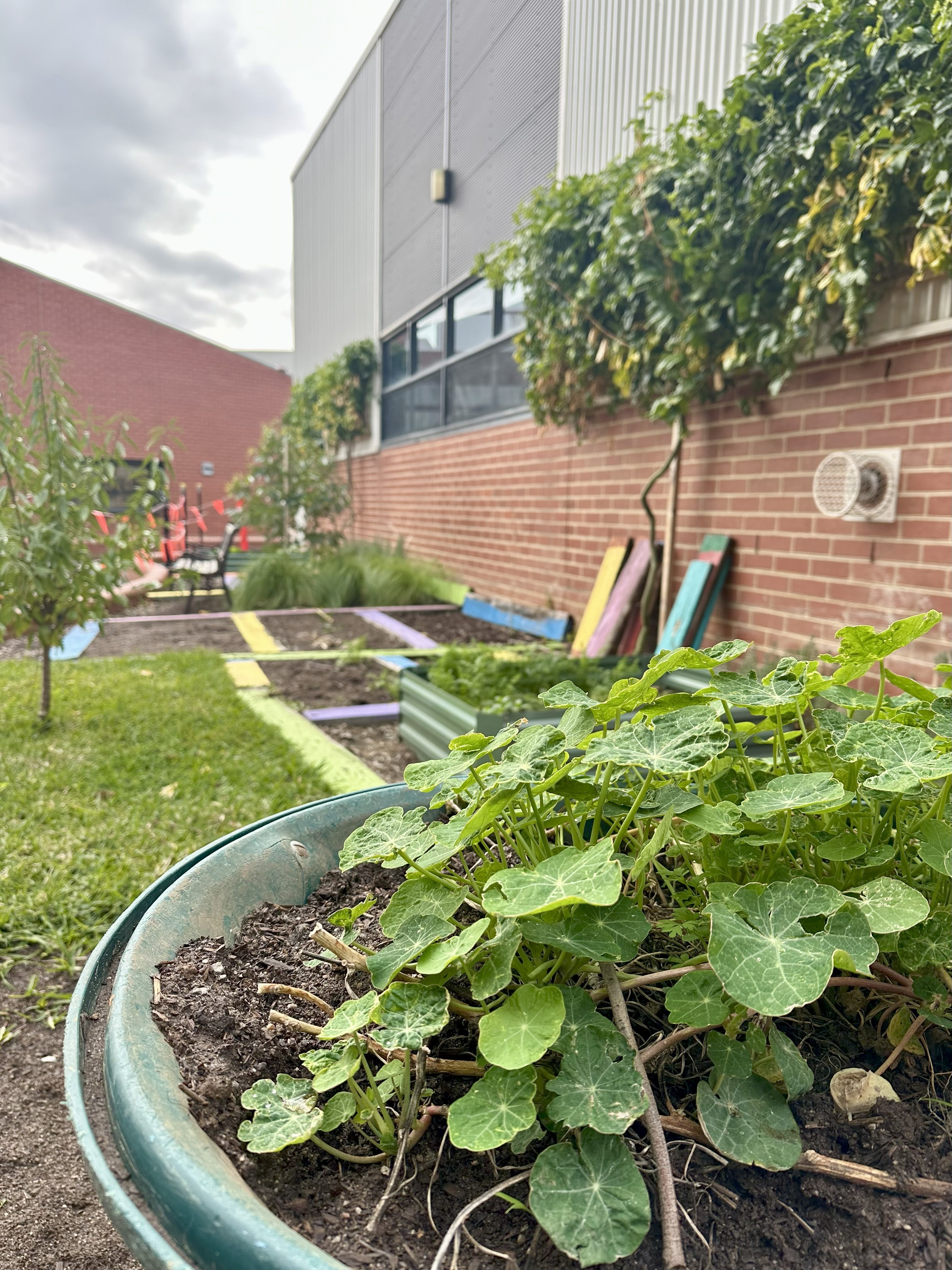 /uploaded_files/media/gallery/1751523433edible garden.jpg